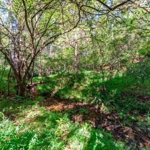 Photo #49 of 233 Saddleback, Monroe, VA 8.7 acres