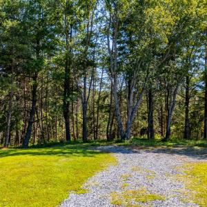 Photo #55 of 233 Saddleback, Monroe, VA 8.7 acres