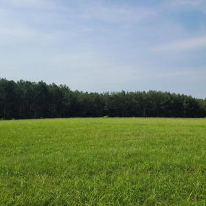 Photo #89 of 1562 Rocks Church Road, Pamplin, VA 114.1 acres