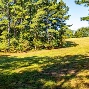 Photo #57 of 1562 Rocks Church Road, Pamplin, VA 114.1 acres