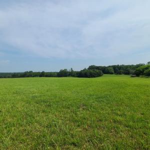 Photo #91 of 1562 Rocks Church Road, Pamplin, VA 114.1 acres