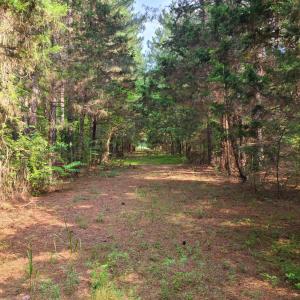 Photo #77 of 1562 Rocks Church Road, Pamplin, VA 114.1 acres