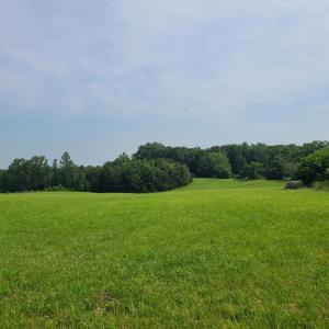 Photo #90 of 1562 Rocks Church Road, Pamplin, VA 114.1 acres