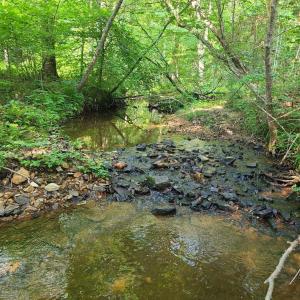 Photo #75 of 1562 Rocks Church Road, Pamplin, VA 114.1 acres