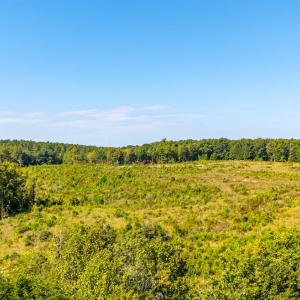Photo #59 of 1562 Rocks Church Road, Pamplin, VA 114.1 acres