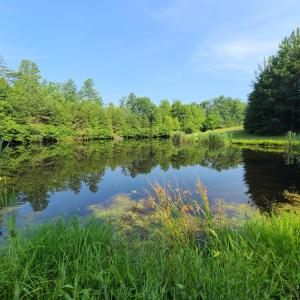 Photo #76 of 1562 Rocks Church Road, Pamplin, VA 114.1 acres