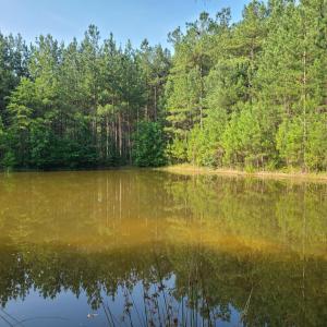 Photo #70 of 1562 Rocks Church Road, Pamplin, VA 114.1 acres