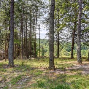 Photo #30 of 3122 Buffalo Run, Thaxton, VA 2.5 acres