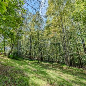 Photo #50 of 2490 Diamond Hill, Moneta, VA 1.2 acres
