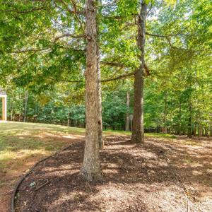 Photo #78 of 1547 Gilfield Drive, Forest, VA 1.1 acres
