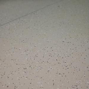 Epoxy flaked garage floor covering