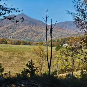 Views of the Peaks of Otter while getting your mail at the end of the driveway