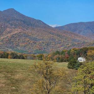 Peaks of Otter views from the end of the driveway and  Cobbs Mountain Road