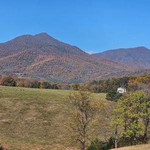 Views of the Peaks of Otter while getting your mail at the end of the driveway !!