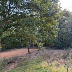 Photo #16 of 209 Spicer Road, Lynchburg, VA 2.4 acres