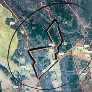 Photo #40 of 8824 Grassland Dr, Sandy Level, VA 31.4 acres