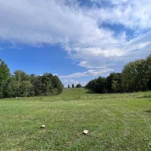 Photo #41 of 8824 Grassland Dr, Sandy Level, VA 31.4 acres
