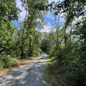 Photo #43 of 8824 Grassland Dr, Sandy Level, VA 31.4 acres