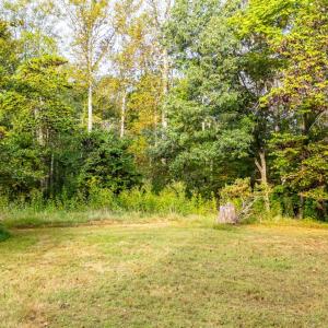 Photo #54 of 1469 Little Echo Lane, Bedford, VA 104.3 acres