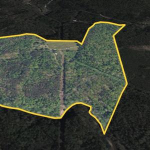 Photo #79 of 1469 Little Echo Lane, Bedford, VA 104.3 acres