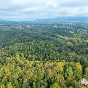 Photo #76 of 1469 Little Echo Lane, Bedford, VA 104.3 acres