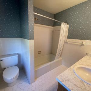 Photo #78 of 105 North Branch Road, Bedford, VA 3.6 acres
