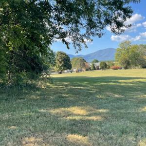 Photo #76 of 105 North Branch Road, Bedford, VA 3.6 acres