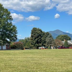 Photo #75 of 105 North Branch Road, Bedford, VA 3.6 acres