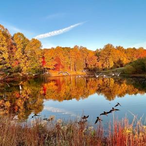 Photo #67 of 1002 Boone Hill Drive, Lynchburg, VA 3.6 acres
