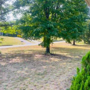 Photo #41 of 3365 Soapstone Road, Ridgeway, VA 0.6 acres