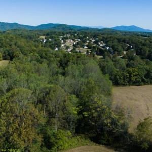 Photo #34 of 1079 High Oaks Drive, Forest, VA 0.8 acres