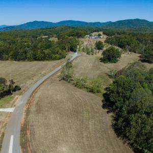 Photo #33 of 1079 High Oaks Drive, Forest, VA 0.8 acres