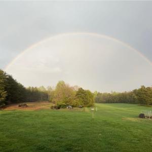 Photo #2 of 1872 Wards Road, Hurt, VA 4.5 acres