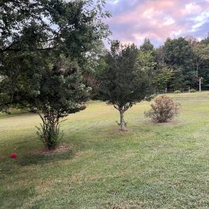 Photo #31 of 1872 Wards Road, Hurt, VA 4.5 acres