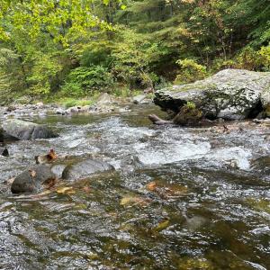 Photo #64 of 2070 Woodson Rd, Roseland, VA 7.5 acres