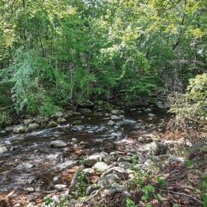 Photo #59 of 2070 Woodson Rd, Roseland, VA 7.5 acres