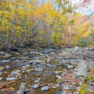 Photo #3 of 2070 Woodson Rd, Roseland, VA 7.5 acres