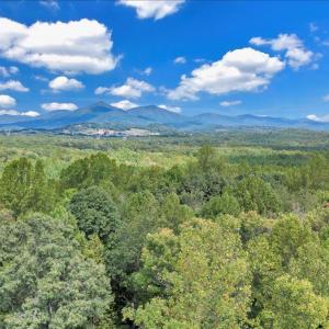 Photo #81 of 2981 Rocky Ford Road, Bedford, VA 61.3 acres