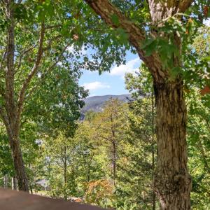 Photo #33 of 1451 Trellis Ridge Drive, Lynch Station, VA 1.4 acres