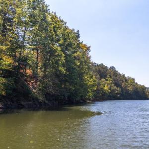 Photo #40 of 1451 Trellis Ridge Drive, Lynch Station, VA 1.4 acres