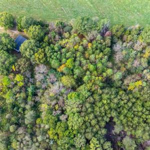 Photo #38 of 2141 Gap Road, Chatham, VA 2.3 acres