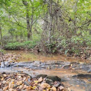 Photo #79 of 2327 COLBY DRIVE, Forest, VA 0.7 acres