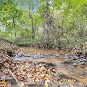 Photo #80 of 2327 COLBY DRIVE, Forest, VA 0.7 acres