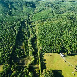 Photo #62 of 2287 Johnson Creek Road, Evington, VA 34.5 acres