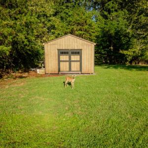 Photo #70 of 2287 Johnson Creek Road, Evington, VA 34.5 acres