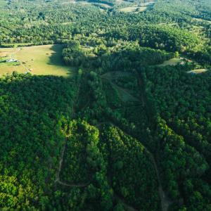 Photo #63 of 2287 Johnson Creek Road, Evington, VA 34.5 acres