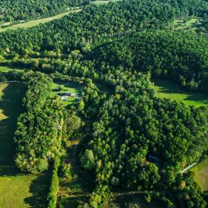 Photo #64 of 2287 Johnson Creek Road, Evington, VA 34.5 acres