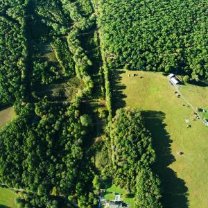 Photo #4 of 2287 Johnson Creek Road, Evington, VA 34.5 acres