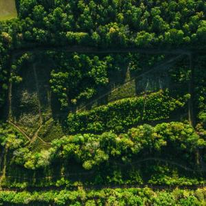 Photo #5 of 2287 Johnson Creek Road, Evington, VA 34.5 acres