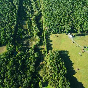 Photo #61 of 2287 Johnson Creek Road, Evington, VA 34.5 acres